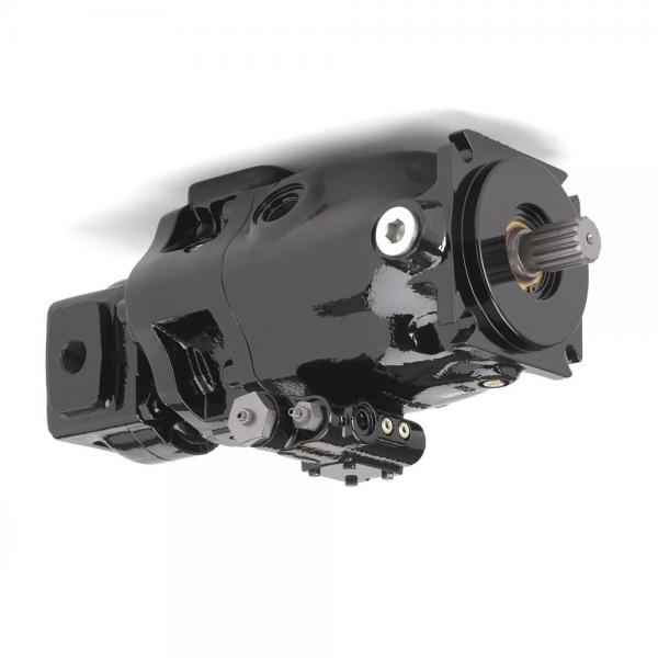 Sumitomo QT43-25-A Gear Pump #1 image