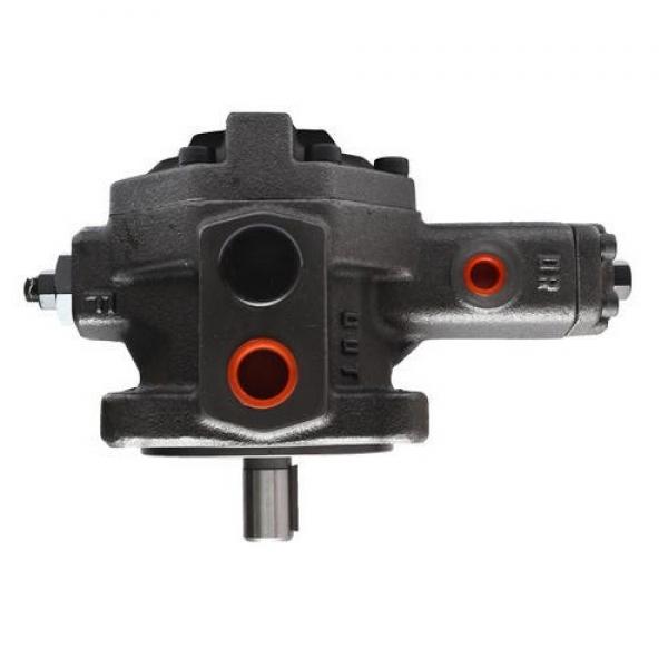 Yuken A145-F-R-04-C-S-60 Variable Displacement Piston Pumps #1 image