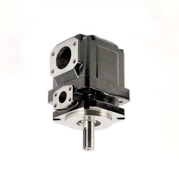 Denison PV15-1R1D-F02 Variable Displacement Piston Pump #1 image